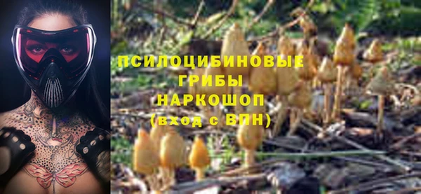 герыч Абинск