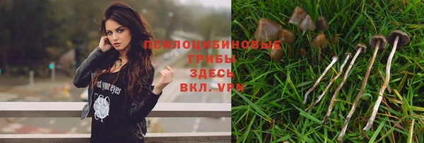 бошки Абаза