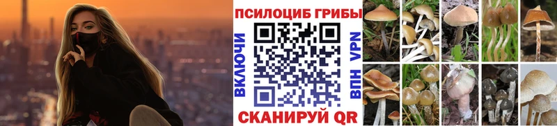 купить  цена  блэк спрут ТОР  Галлюциногенные грибы Magic Shrooms  Ак-Довурак 